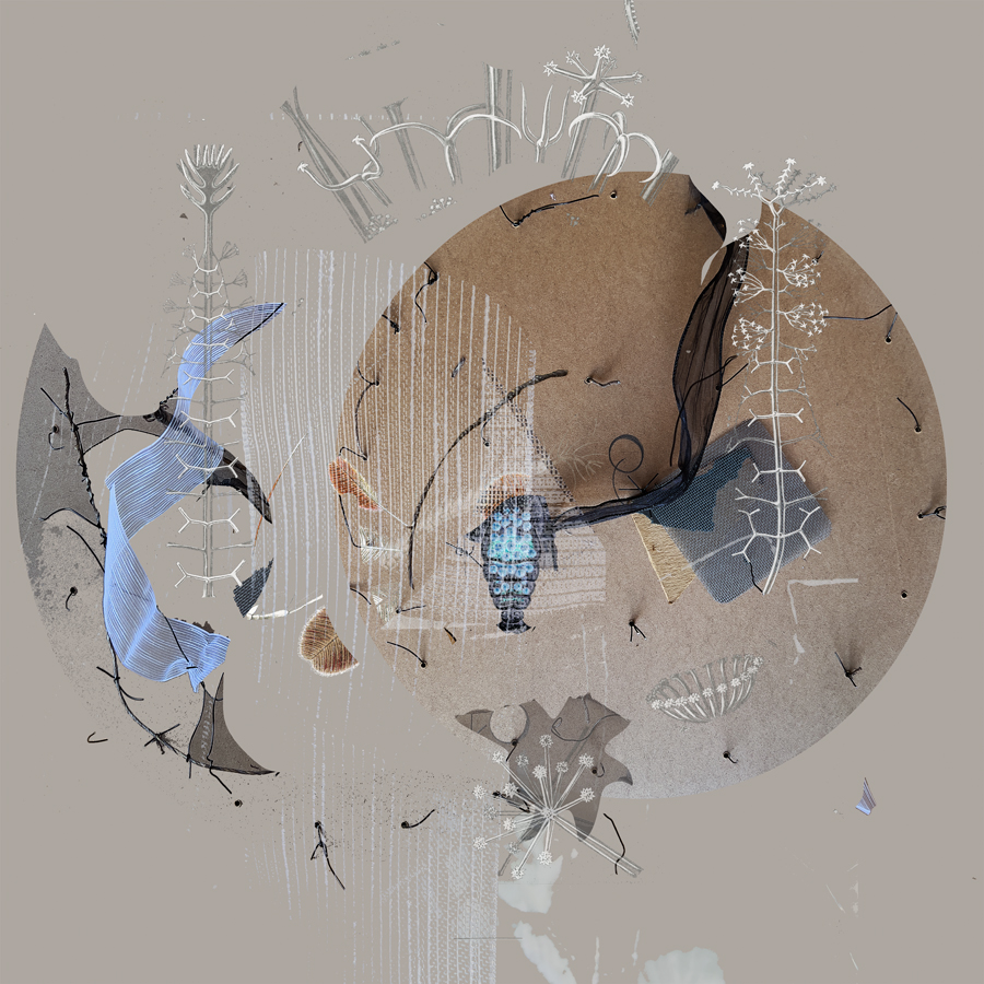 Orbit