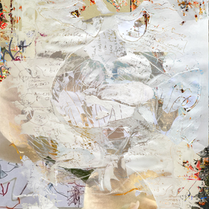 Bleached Bits thumbnail