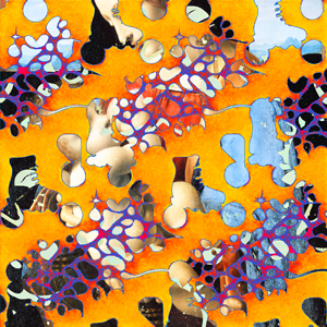 Orange Floral Skates thumbnail