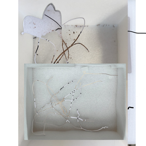 Box thumbnail