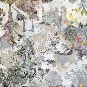 Brittle Garden thumbnail