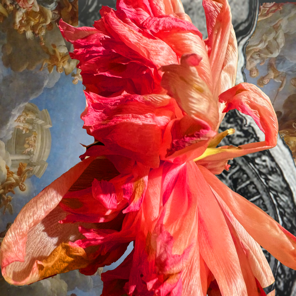 PEONY